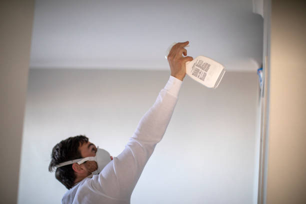 Best Attic Mold Remediation in Minco, OK