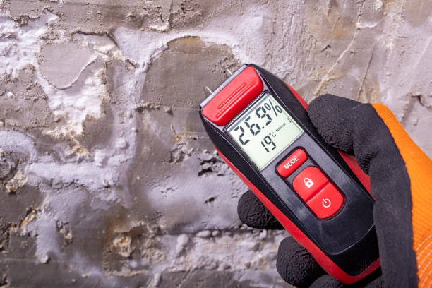 Best Attic Mold Remediation in Minco, OK